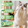 Acostop Catnip Cat Toys for Indoor Cats - 6 Styles