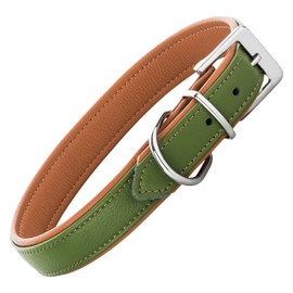 Schnüffelfreunde Fun Line Leather Dog Collar for Large, Medium and Small Dogs, Leather Collar for Dogs, Padded and Robust (L - 36-45 cm, Green/Beige)