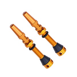 Sarini 2Pcs Bike Tubeless Air Valve Stem, Tire valve, Alloy Tubeless Valve Stem, for Fits Most Other Tubeless Rims and Wheels(Orange)