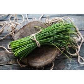 SeedsUP - 400+ Garlic Chives Onion - Vegetable Green