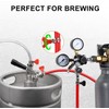 5ft Kegerator CO2 Gas Line and Beer Lines, ID 5/16''