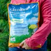 GreenView Weed & Feed - 13 lb. Bag - Covers