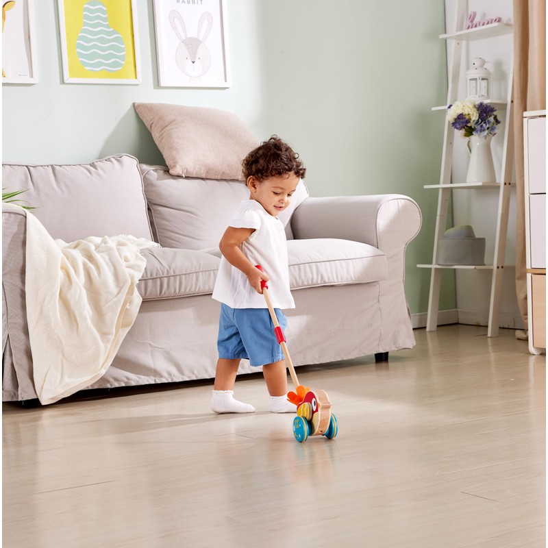 Hape - Uccellino Trainabile Spingi&Tira - Pappagallino in legno con