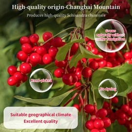 Wanhua Hall Schisandra BerryDried Schisandra Chinensis 10.6oz/300g Schisandra Berry Tea Dried Omija Tea Natural Wu Wei Zi Caffeine Free 五味子 五味子茶 北五味子