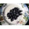 Italian pole bean MAGIC! Original Italian Vigo Romano Flat POLE