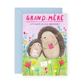 Central 23 Carte Anniversaire Pour Grand-Mère - Hérissons - Cartes D'Anniversaire Pour Femme - Cadeau Grand Mere D'un Petit-Fils Ou D'une Petite-Fille - Livrée Avec Des Autocollants - Par