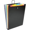Viquel - Organiser Folder Rainbow, black, handbag organizer