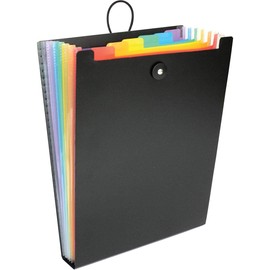 Viquel - Organiser Folder Rainbow, black, handbag organizer