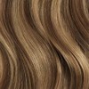Chestnut Brown Highlights Single Hair Color Sample