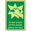 V Safety Glow In The Dark In Case Of The