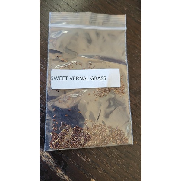 LION OF JUDAH MARKET Sweet Vernal Grass Seeds 250 Count,