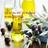 호호바오일 100% 순수에센셜 페이스오일 20ml 100% Pure Jojoba Oil Essential