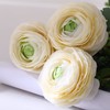 Artificial Ranunculus Flowers with Real Touch Stem, Silk Ranunculus Flowers