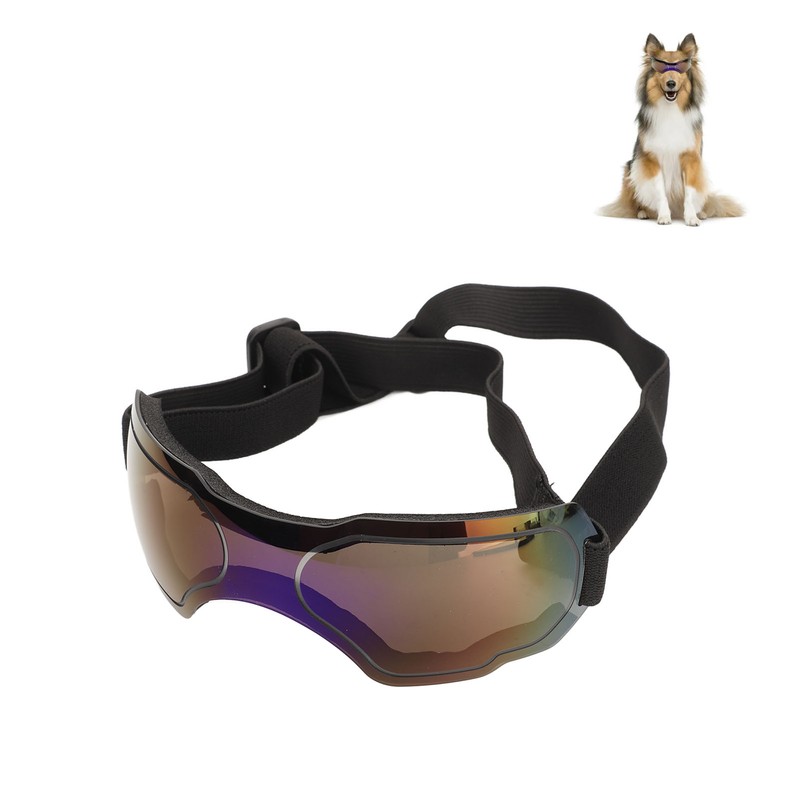 Dog Goggles Wind and UV Protection Pet Glasses Dustproof Sunglasses