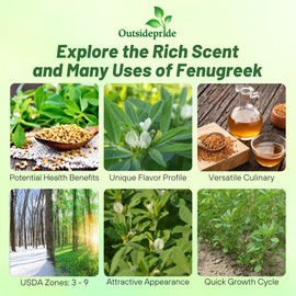 Outsidepride Fenugreek & Microgreens Seeds - 1000 Pcs. Annual, Versatile & Easy to Grow, Herb Seeds for Planting Nutrient-Rich, Fragrant & Flavorful Greens for Traditional Uses & Culinary Creations