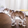 DANRECIN Acrylic Bear Figurine Cute Animal Home Decor Not Crystal