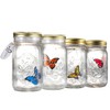 Fangfang LED Lamp Romantic Glass Animated Butterfly Jar Gift Decoration