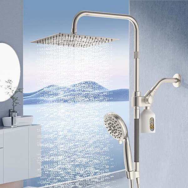 HEROBAI 10" Filtered Rain Shower Head with Handheld Spray Combo,