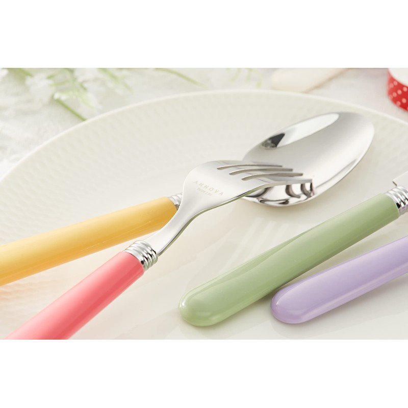 ANNOVA Silverware Set 20 Pieces Stainless Steel Cutlery Color Handle