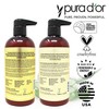 PURA D'OR Anti-Thinning Biotin Shampoo & Deep Moisturizing Conditioner Original
