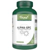 VORST Alpha GPC 600mg 120 Vegan Capsules | Bioavailable Choline