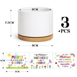 BOFUNX Set of 3 flower pots with 3 stickers