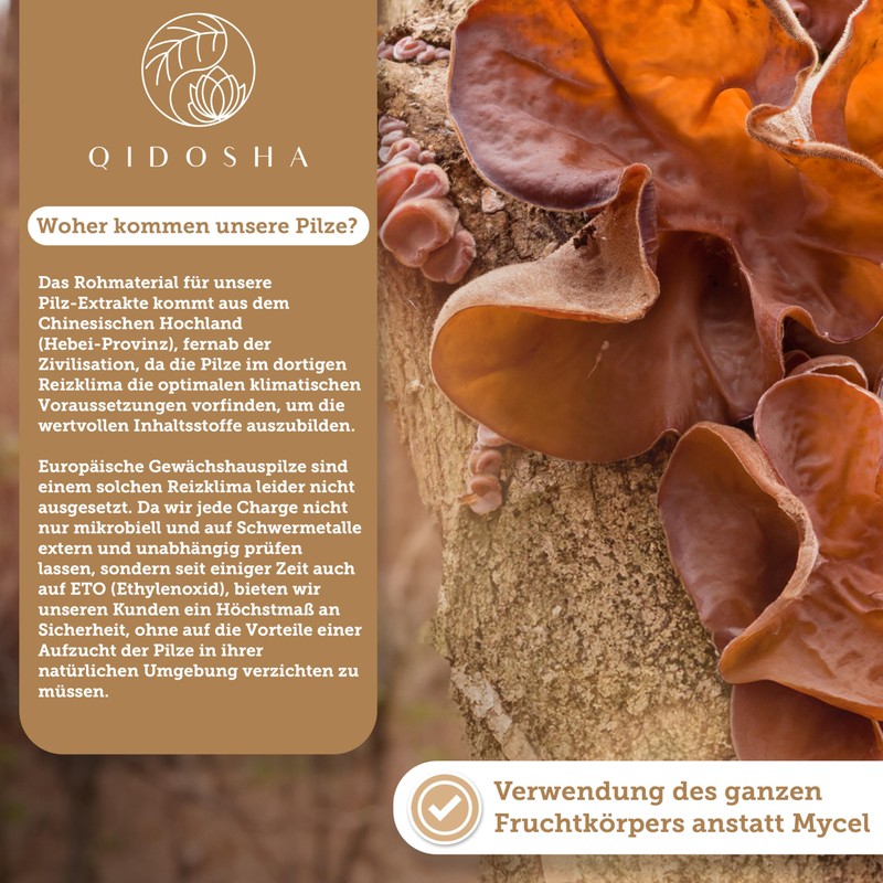 QIDOSHA® Auricularia 40:1 Extract Capsules, 180 Pieces in Pharmacist Glass,