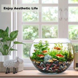 15LB Succulents Rocks for Plants Cactus Gravel Pebbles for Fish Tank 1/2 Inch Natural River Rocks for Vase, Aquarium, Landscaping,Bonsai,Terrarium Pebbles, Mixed Color