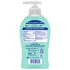 Softsoap Softsoap Antibacterial Liquid Hand Soap, Fresh Citrus Scent Hand