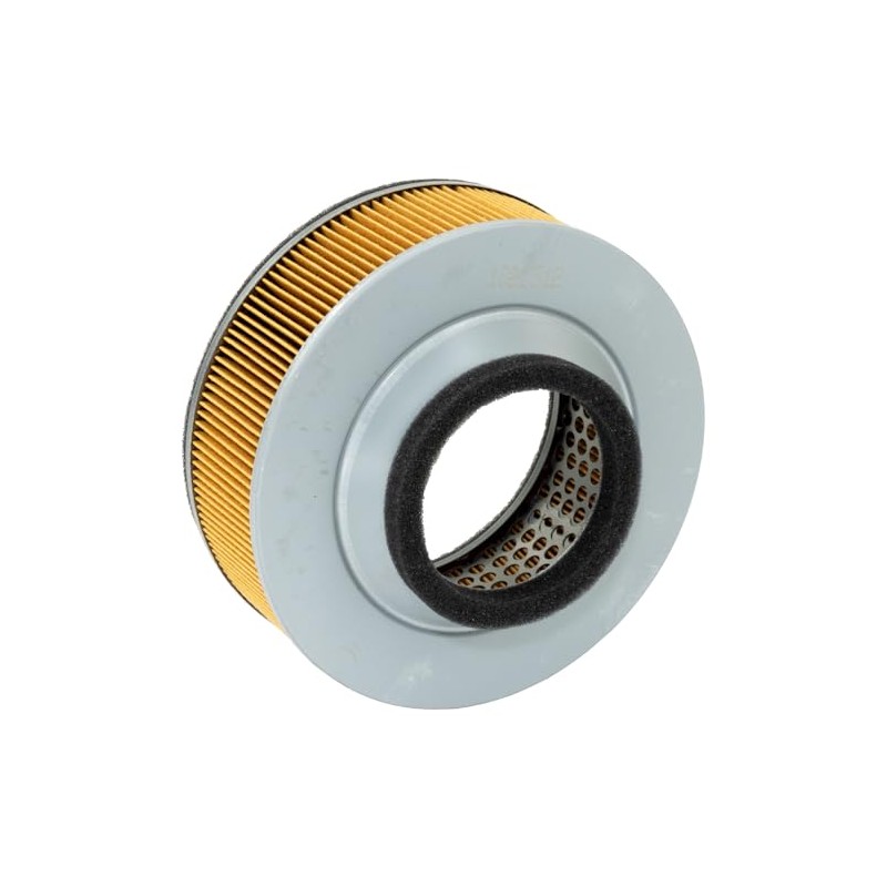 Hiflofiltro HFA2911 Filtro de Aire Premium OE de Repuesto Negro