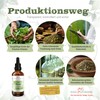 Wormwood Tincture, 50 ml, Artemisia Absinthium Drops (1:4 Extract), Premium