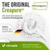 VITRUALS Creapure Creatine Monohydrate Powder – 10.58oz (0.66lb) (300g) German