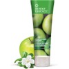 Desert Essence Green Apple & Ginger Shampoo & Conditioner Bundle
