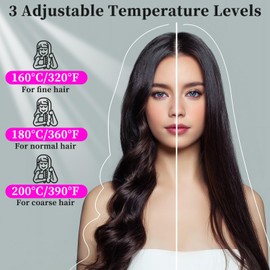 Go Brush Pro, 2025 Hair Straightener Brush 3 Adjustable Temperature Portable USB Charging Straightener Suitable for All Hair Types (Black01)