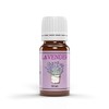Aroma Depot Essential Oil 10ml Lavender Scented Oil I Premium