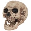 Bristol Novelty HI333 Skull, Brown/Beige, One Size