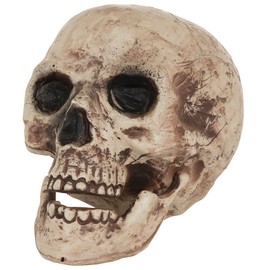 Bristol Novelty HI333 Skull, Brown/Beige, One Size