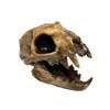 Aztec Death Whistle - Apex Predator