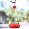 Eyrosa Metal Ant Moat for Hummingbird Feeders, Red Hummingbird Feeder