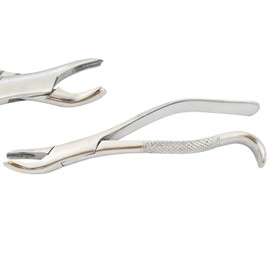 MuskalMed Dental Extracting Forceps Extraction Forceps # 18R for 1st and Upper 2nd Molars Right Pointed Beak for Engaging Bifurcated Buccal Root Heavy Duty Extra Grip Handle Dental Instruments