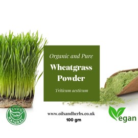 Clean Organic Wheatgrass Powder | 100% Natural and Pure | Eliminate toxins- Boost Your Metabolism (250g)