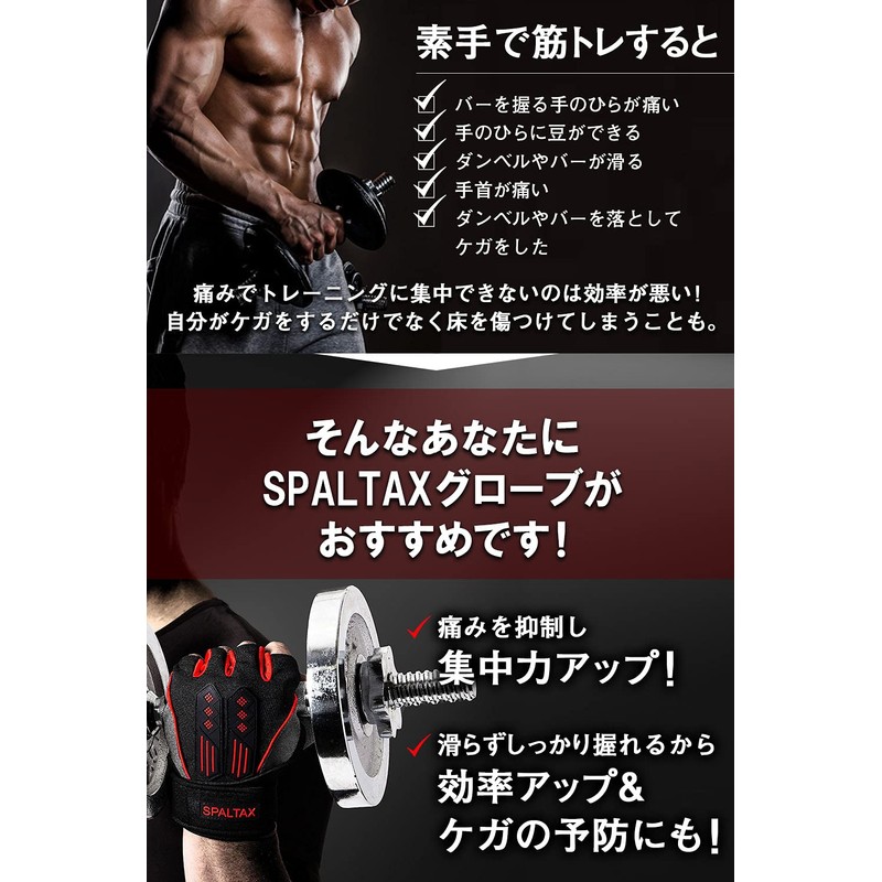 [SPALTAX] Training Gloves, Men's, Muscle Training Gloves, Bench Press Gloves,