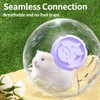 7.9 inch Hamster Ball, Hamster Exercise Toys, Running Ball, Clear