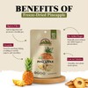 Himalayan Chef Freeze-Dried Fruit – 15g/Each Freeze-Dried Pineapple | Organic