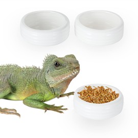 Reptile Food Bowls Ceramic Round Reptile Water Food Dish, Pet Food Bowl for Lizards, Small Snakes, Young Bearded Dragons, Gecko Tortoise Spider (White, Medium-2Pack)