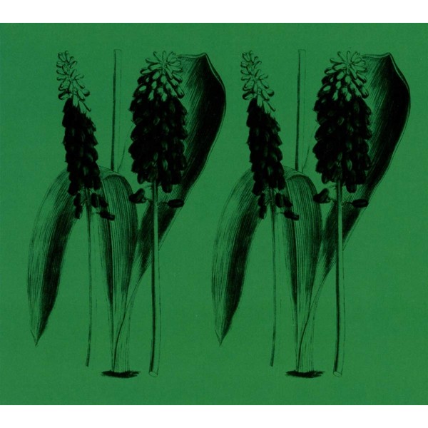 Nature Sounds of the Balearics