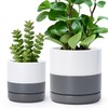 D'vine Dev 4.7 Inch & 6.5 Inch Ceramic Planter Pots