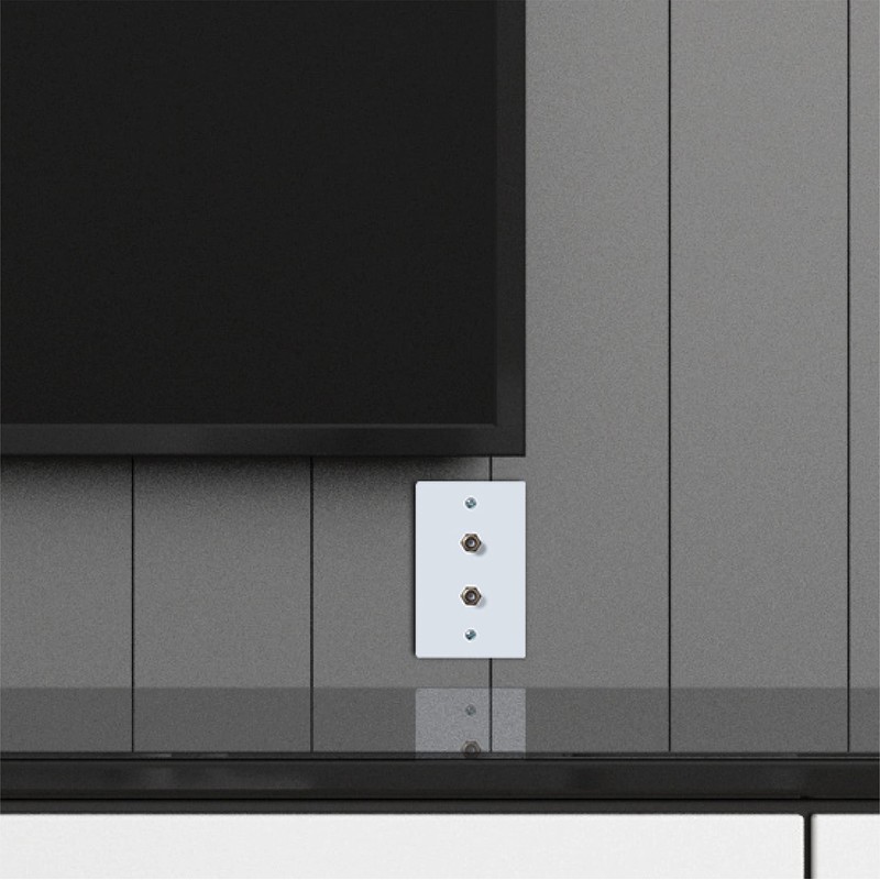 Newhouse Hardware 2-Port TV Cable Wall Plate, F Connector, for