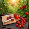 Htppzjr Stainless Steel Strawberry Huller and Tomato Stem Corer Tool