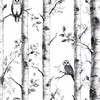LaiTique Birch Tree Peel and Stick Wallpaper, Owl Wallpaper, Self